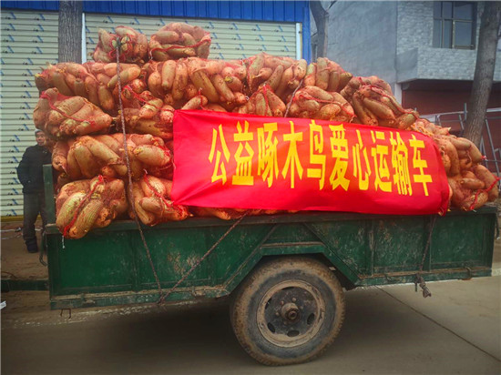 ＂愛心蘿卜＂來了！