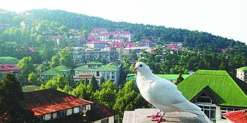  有著“云中山城”之稱的牯嶺鎮(zhèn)面臨著遷民下山。